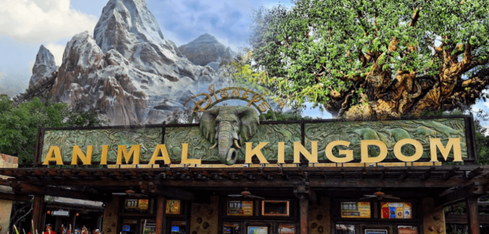 Guís Parque Animal Kingdom en Orlando