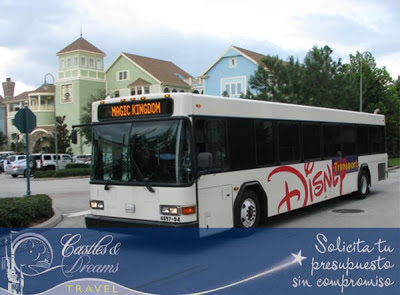 Disney World Transporte