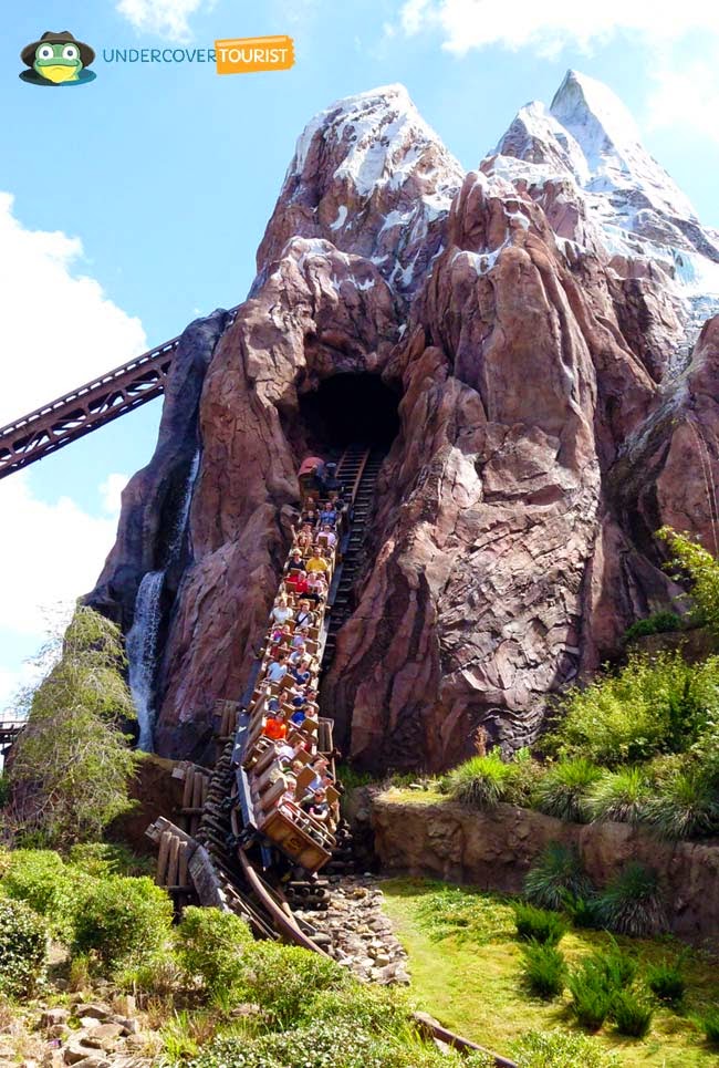 Expedition Everest Animal Kingdom