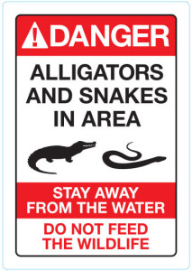 Carteles de advertencia caimanes y serpientes alrededor de las playas WDW