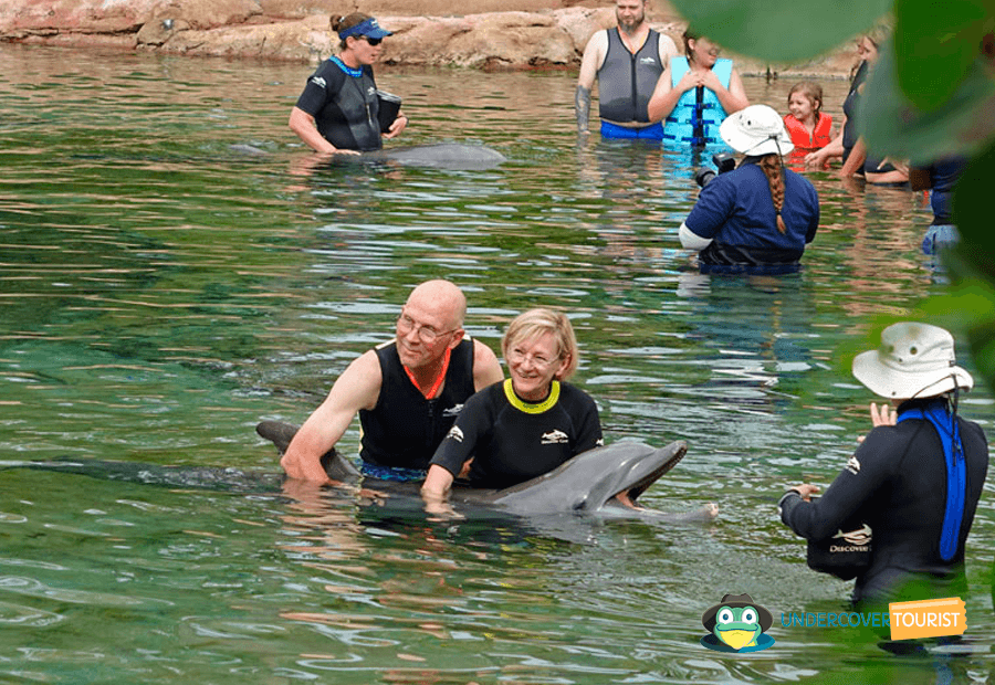 En la Laguna de los Delfines interactuarás con estos mamíferos.