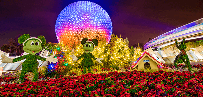 Tour de Navidad Disney World