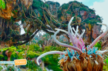 Avatar en Disney World