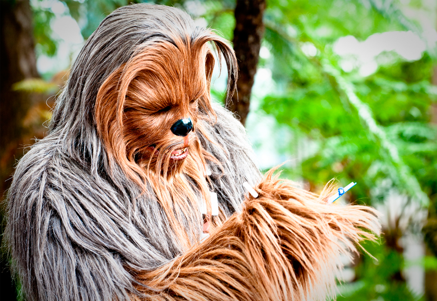 Chewbacca en los Hollywood Studios en Orlando