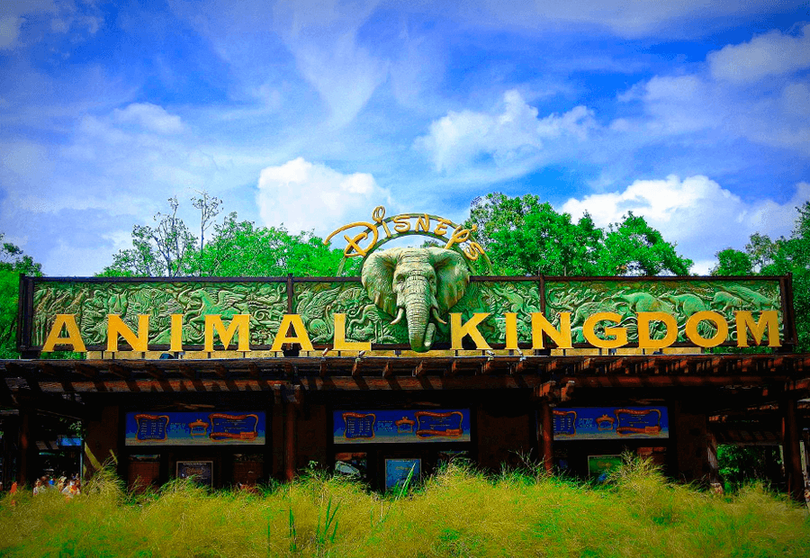Entrada al parque Animal Kingdom en Disney Orlando