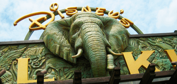Las 5 Mejores Atracciones de Animal Kingdom en Orlando