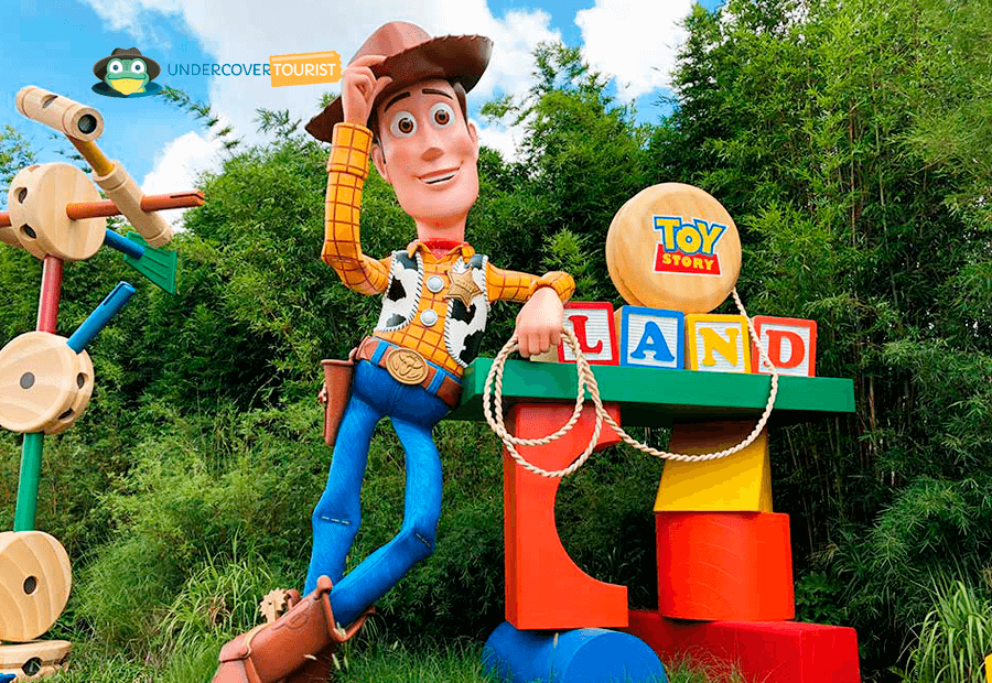 Entrada Toy Story en Disney World