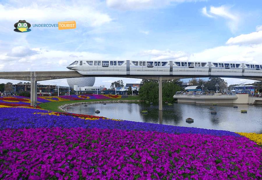 Monorail Transporte Disney World