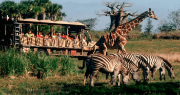 Kilimanjaro Safaris Disney Orlando