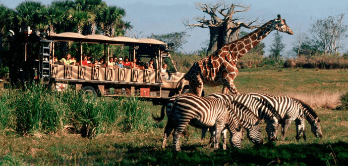 Kilimanjaro Safaris Disney Orlando